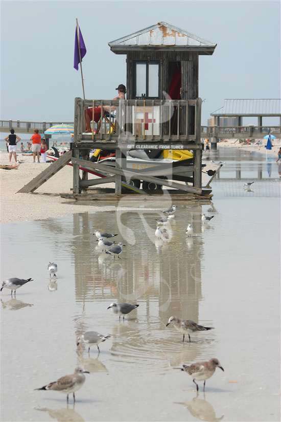 Florida Lifeguard Photo